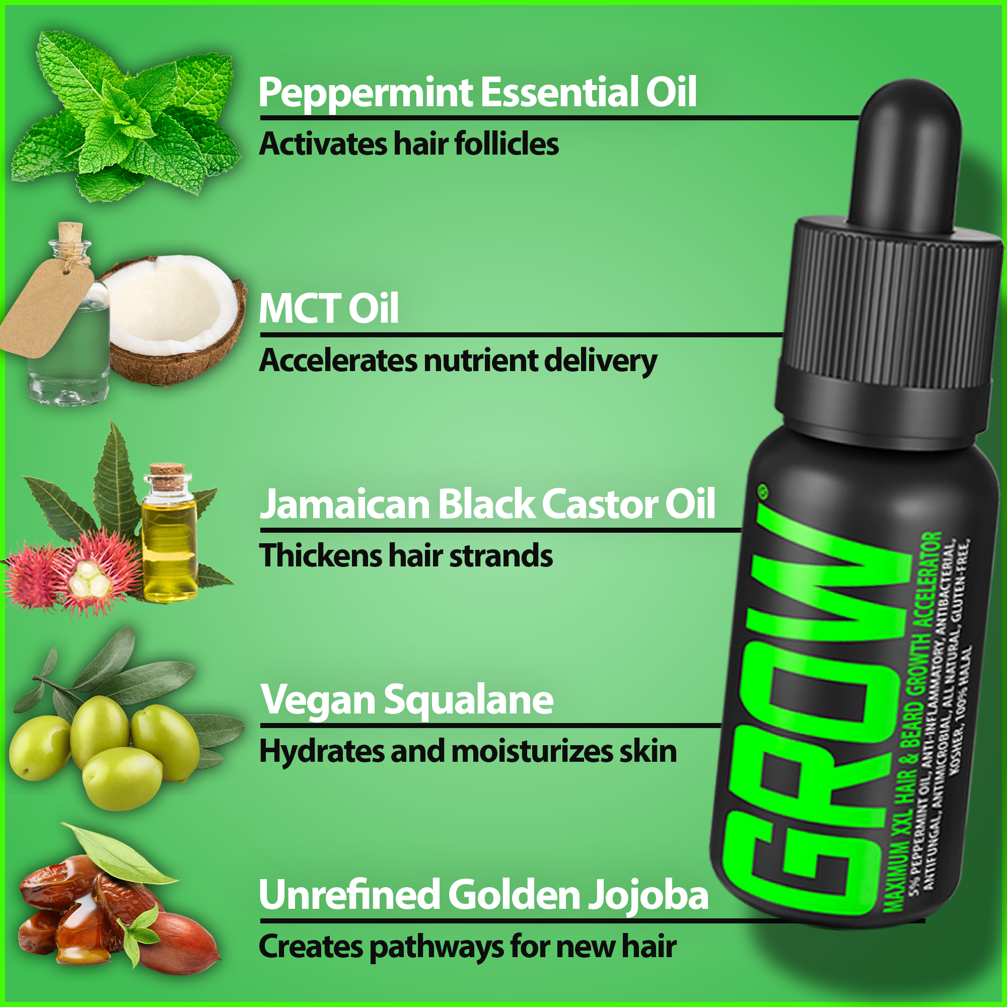 Perfect Beard Growth Kit